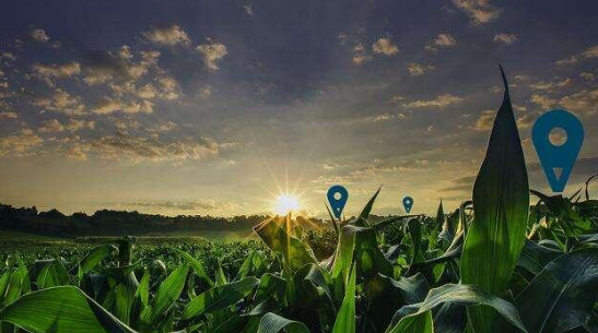 “元宇宙+农业”如何改变农业路径值得探讨