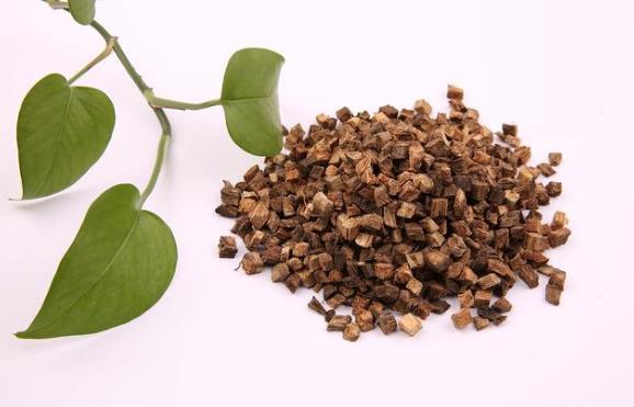 葛根的基本作用和功能