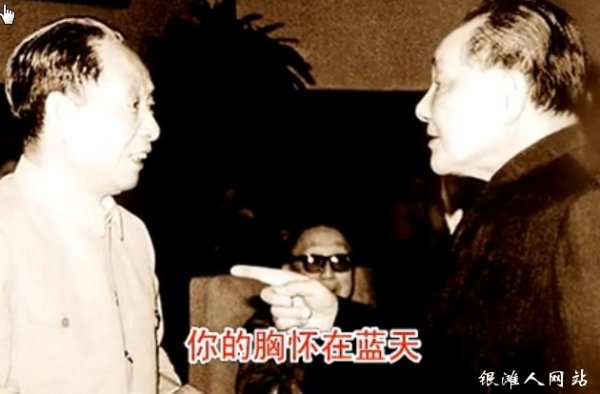 《好大一棵树》歌曲的创作背景