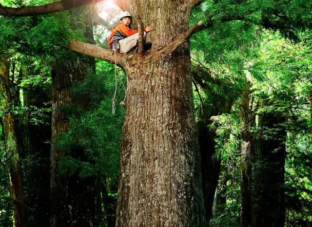 乡村早已消失了，它曾存在于诗经楚辞与山水画中