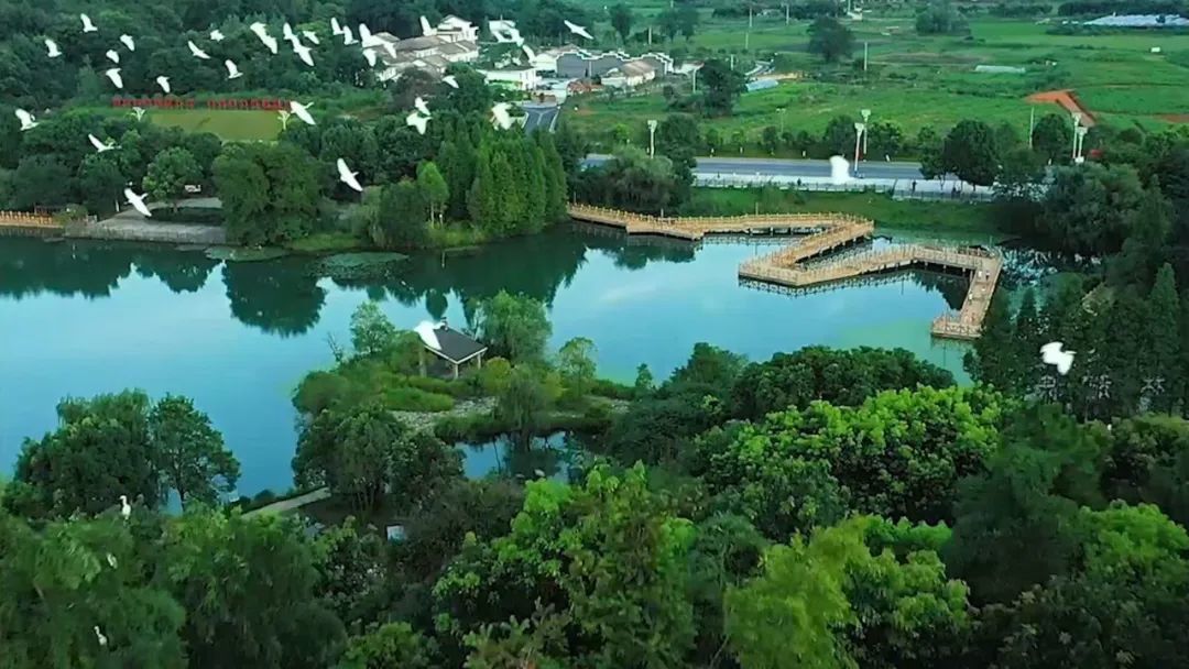 乡村是座博物馆！